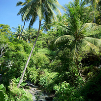 Photo de Bali - Banjar et Gitgit